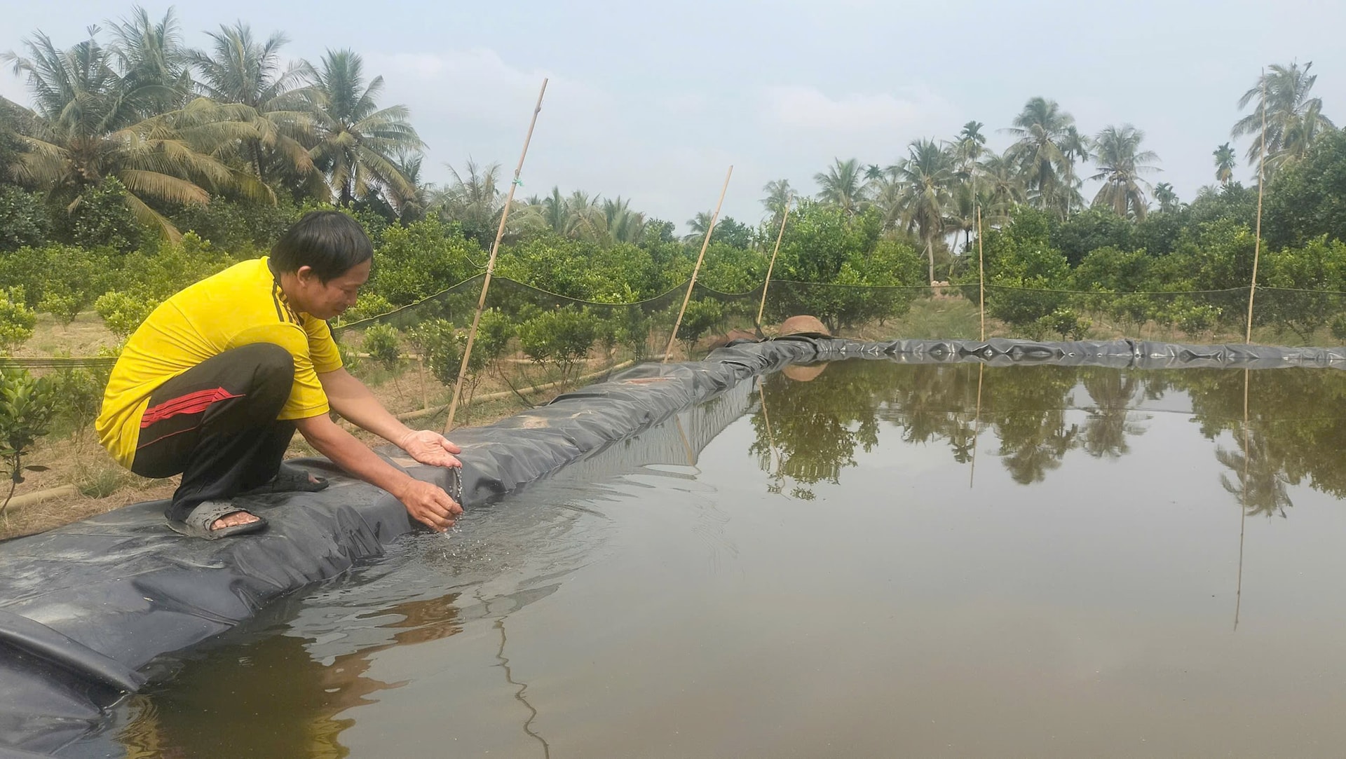 Người dân ở nhiều địa phương ĐBSCL chủ động tích trữ nước ngọt phục vụ sinh hoạt và sản xuất. Ảnh: Bạch Thanh