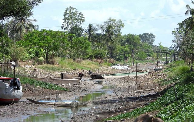 Nắng n&oacute;ng, kh&ocirc; hạn c&ugrave;ng với x&acirc;m nhập mặn đ&atilde; 