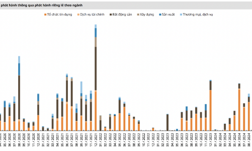Không có lô trái phiếu riêng lẻ nào được phát hành trong 2 tháng đầu năm 2025