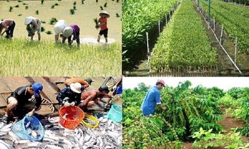 Bộ Nông nghiệp và Môi trường sẽ ban hành 58 thông tư trong năm 2025