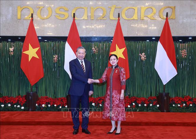 Tổng Bí thư Tô Lâm gặp Chủ tịch Hạ viện Indonesia Puan Maharani - Ảnh: TTXVN