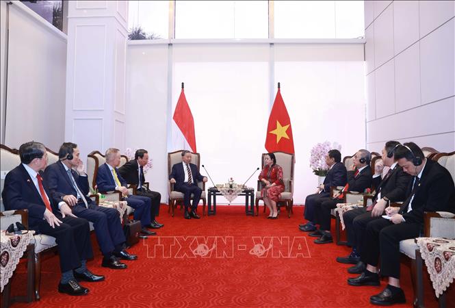 Tổng Bí thư Tô Lâm gặp Chủ tịch Hạ viện Indonesia Puan Maharani - Ảnh: TTXVN