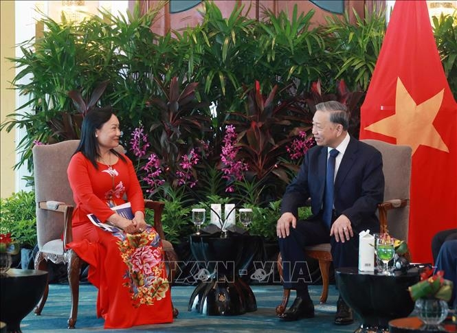 Singaporean firms express interests  to expand investment in Vietnam