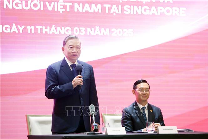 Tổng Bí thư Tô Lâm nói chuyện với cán bộ, nhân viên cơ quan đại diện và đại diện cộng đồng người Việt Nam tại Singapore - Ảnh: TTXVN