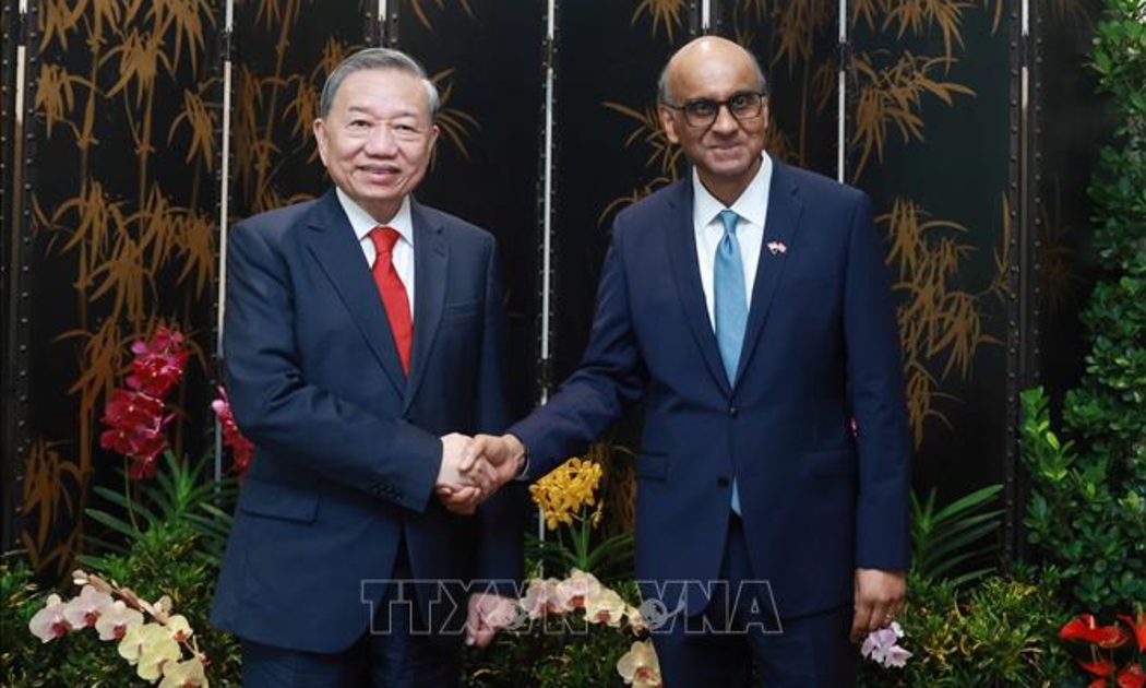 Tổng Bí thư Tô Lâm hội kiến Tổng thống Singapore Tharman Shanmugaratnam - Ảnh: TTXVN
