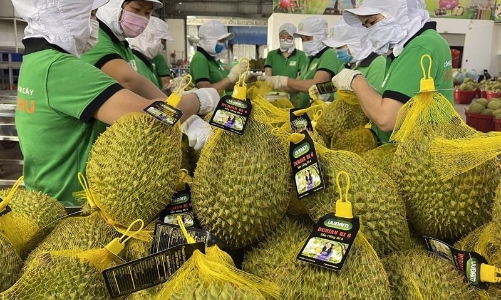 Hợp tác quốc tế tạo động lực thúc đẩy xuất khẩu nông sản Việt