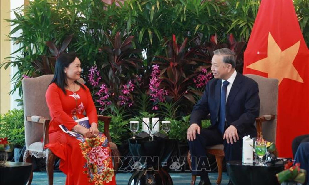 Tổng Bí thư Tô Lâm tiếp bà Trần Thị Lâm, Cố vấn Shangri-La Healthcare Investment, Đồng sáng lập Công ty TNHH Y tế Hoa Lâm Shangri-La - Ảnh: TTXVN