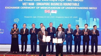 Vietnam - Singapore business roundtable held
