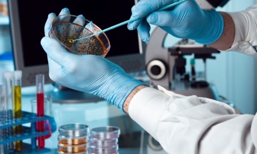 Nhiều hiệp hội ngành hàng gửi đơn lên Tổng Bí thư về vấn đề “hợp quy”