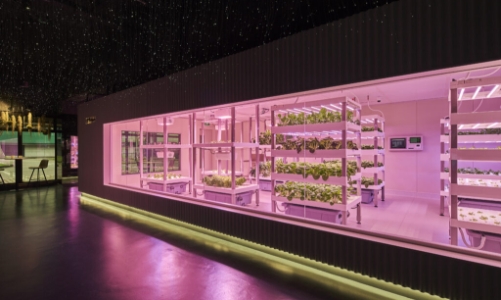 Hà Nội đặt mục tiêu mỗi năm tăng 10-20% số mô hình ứng dụng công nghệ cao trong nông nghiệp