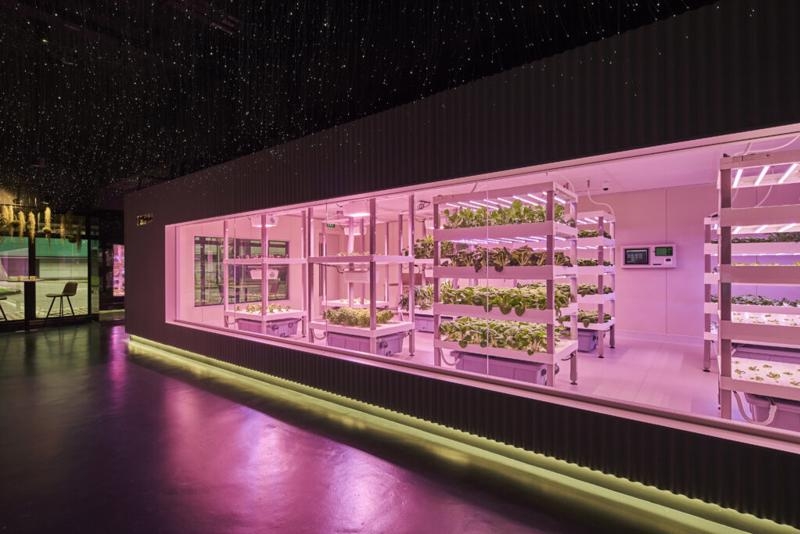 Hanoi targets 10-20% annual increase in high-tech agricultural models