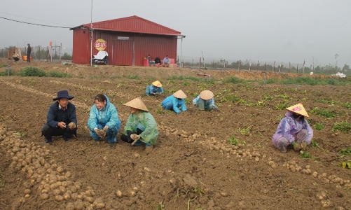 Đối tác công tư phát triển bền vững chuỗi giá trị các mặt hàng nông sản