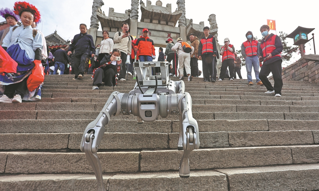 Chó robot vận chuyển rác tại khu danh thắng Thái Sơn (Trung Quốc) - Ảnh: Nhật báo Trung Quốc.