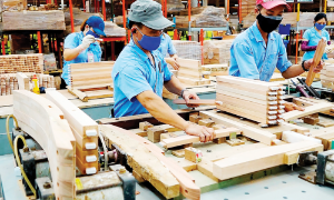 Xuất khẩu gỗ và sản phẩm gỗ năm 2025: “Tự tin” với mục tiêu 18 tỷ USD 