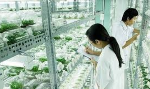 Hạ tầng Khu công nghệ cao sinh học định hướng theo tiêu chuẩn đô thị thông minh