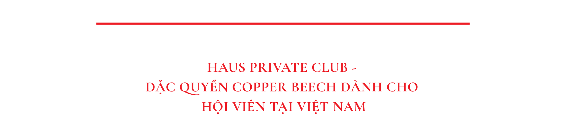 Haus Da Lat: Tấm vé kết nối private club hoàng gia và tỷ phú trên thế giới  - Ảnh 6