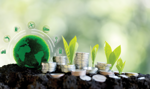 Đề xuất có chính sách bảo lãnh tín dụng cho từng nhóm doanh nghiệp chuyển đổi xanh