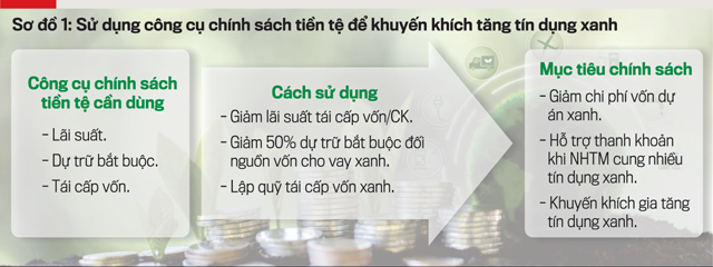 Chính sách tiền tệ và tài khóa thúc đẩy xanh hóa nền kinh tế - Ảnh 1