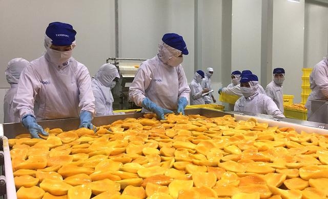 Agricultural exporters face challenge from stricter EU food safety regulations  