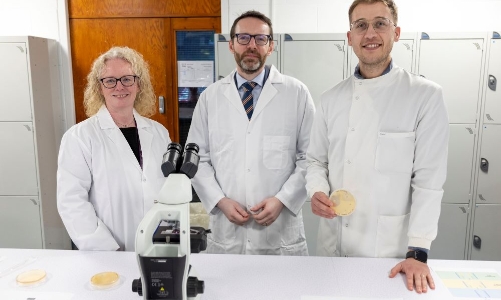 Phát triển kỹ thuật số thúc đẩy nuôi trồng thủy sản bền vững tại Việt Nam