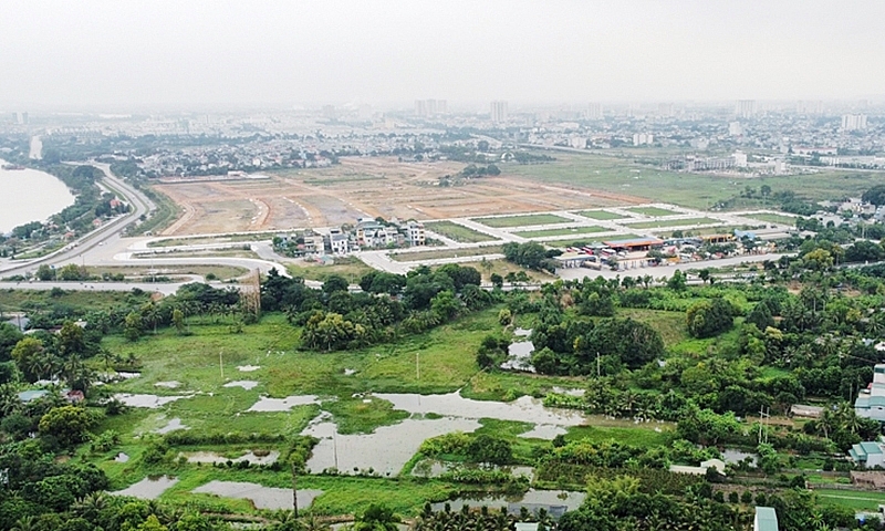 Ảnh minh họa.