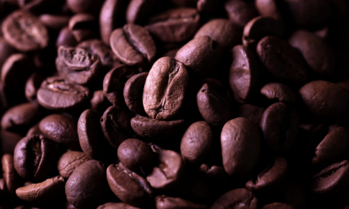 Những chuyện khó tin trong 