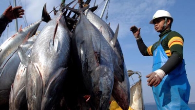 Seafood exports at risk in the US market