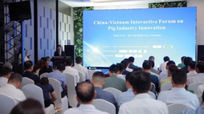Vietnam - China interactive forum on pig farming held