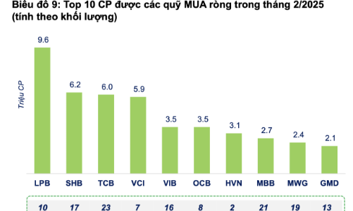 Cổ phiếu nào được các quỹ mua ròng nhiều nhất trong tháng 2 vừa qua? 