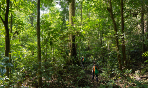 Tour du lịch có trách nhiệm với thiên nhiên ngày càng hấp dẫn