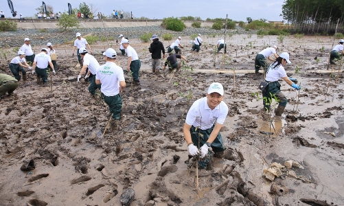 Doanh nghiệp lớn chung tay xanh hóa Việt Nam