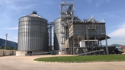 Vietnam's wood pellet industry has plenty of room to grow