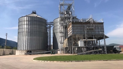 Vietnam's wood pellet industry has plenty of room to grow