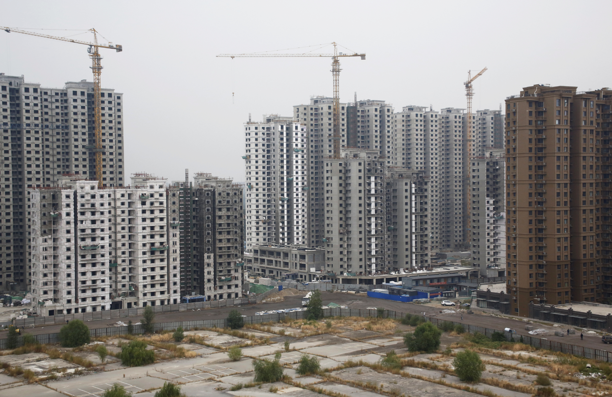 Ảnh minh họa - Ảnh: Reuters.