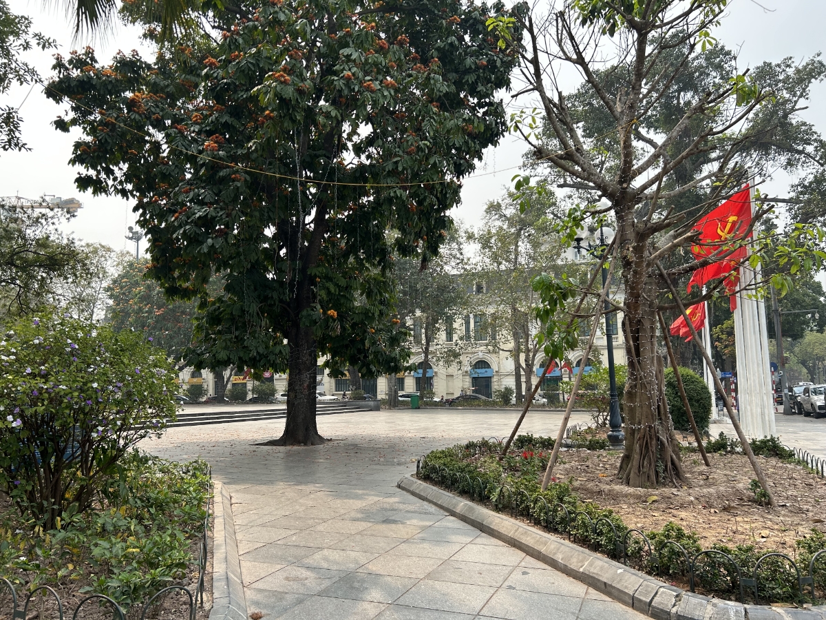 Một góc vườn hoa Lý Thái Tổ.