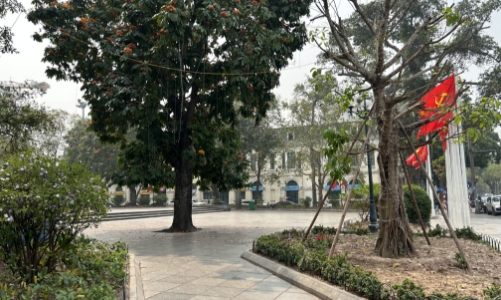 Hà Nội: Vườn hoa Lý Thái Tổ dự kiến cải tạo trong tháng 4/2025