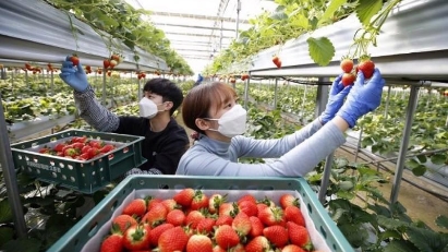 Over 37,000 workers sent abroad in Q1