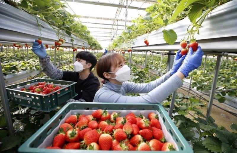 Over 37,000 workers sent abroad in Q1