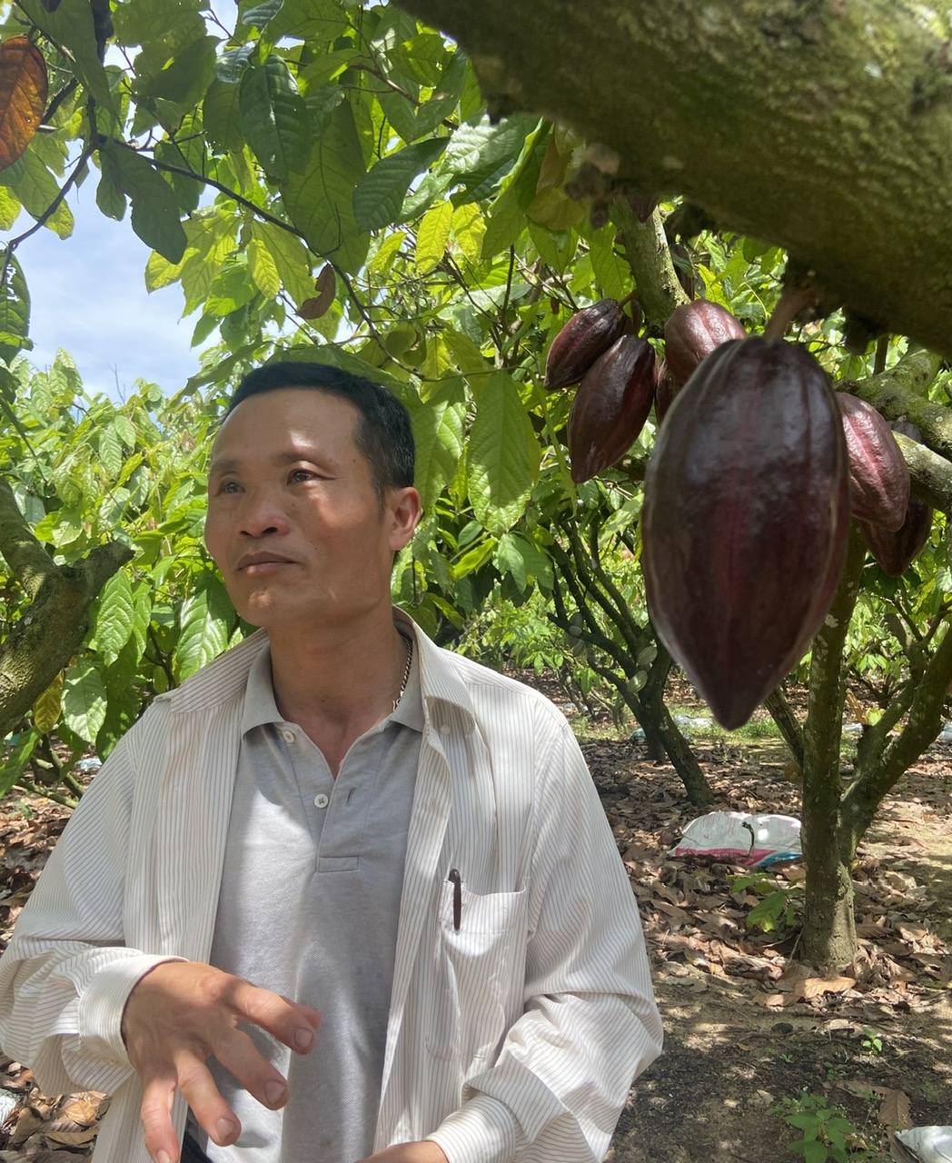 Ông Nguyễn Đình Thiên, Chủ nhiệm HTX nông nghiệp và dịch vụ Đồng Tiến Ea Kar. 