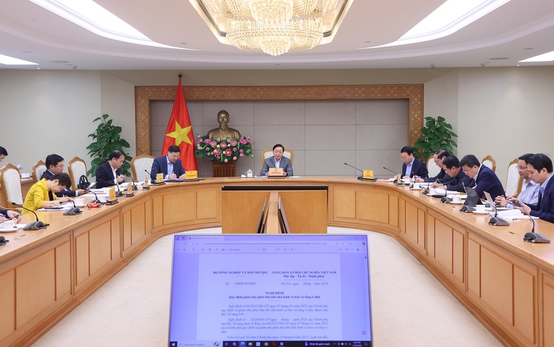 Phó Thủ tướng Trần Hồng Hà chủ trì cuộc họp nghe báo cáo, cho ý kiến về dự thảo Nghị định sửa đổi, bổ sung một số điều của Nghị định số 06/2022/NĐ-CP. (Ảnh: VGP)