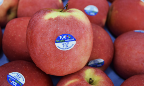 Dự kiến trong tháng 3/2025, giảm thuế nhập khẩu MFN với 10 nhóm mặt hàng