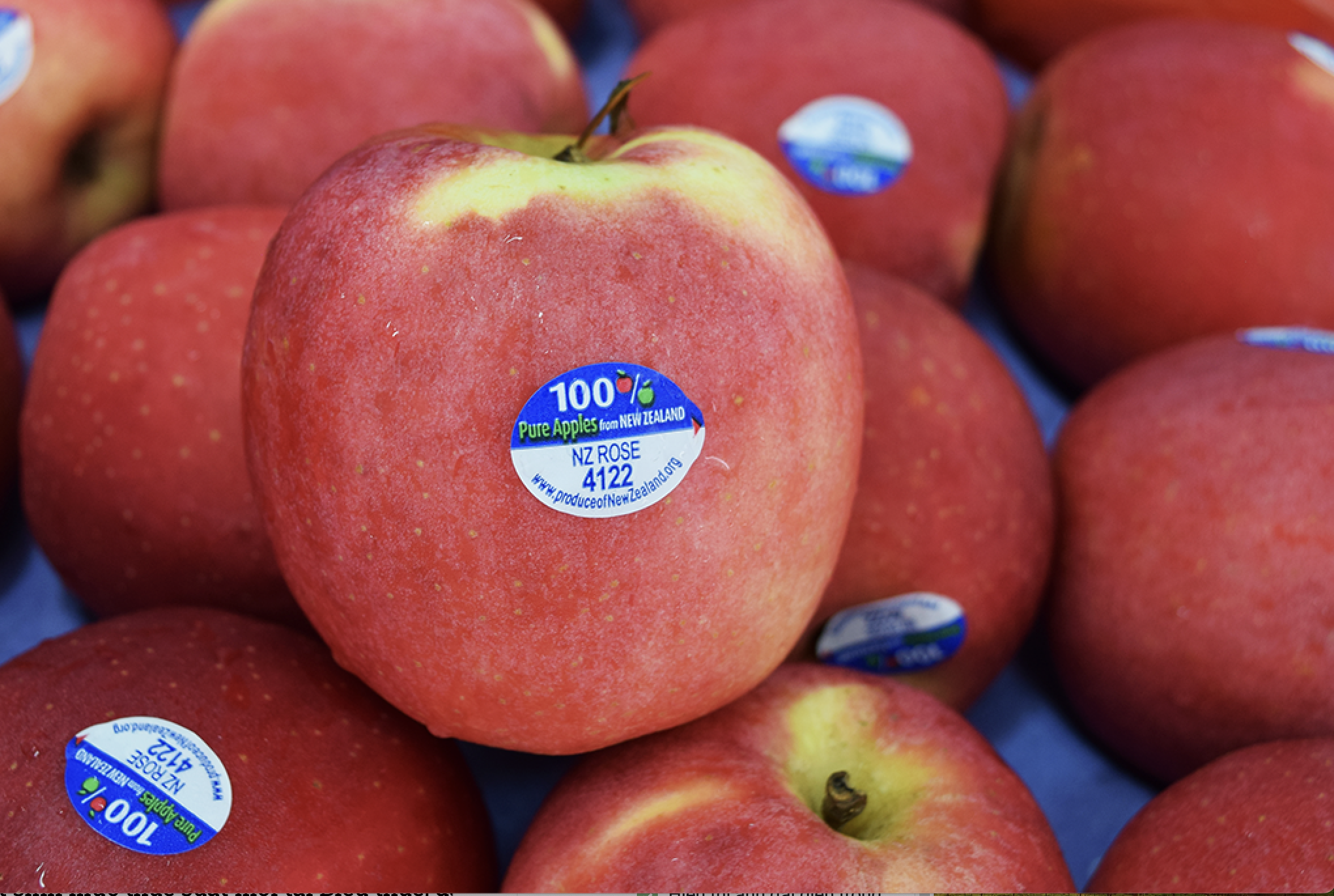 Táo tươi là 1 trong 10 mặt hàng được giảm thuế nhập khẩu MFN.