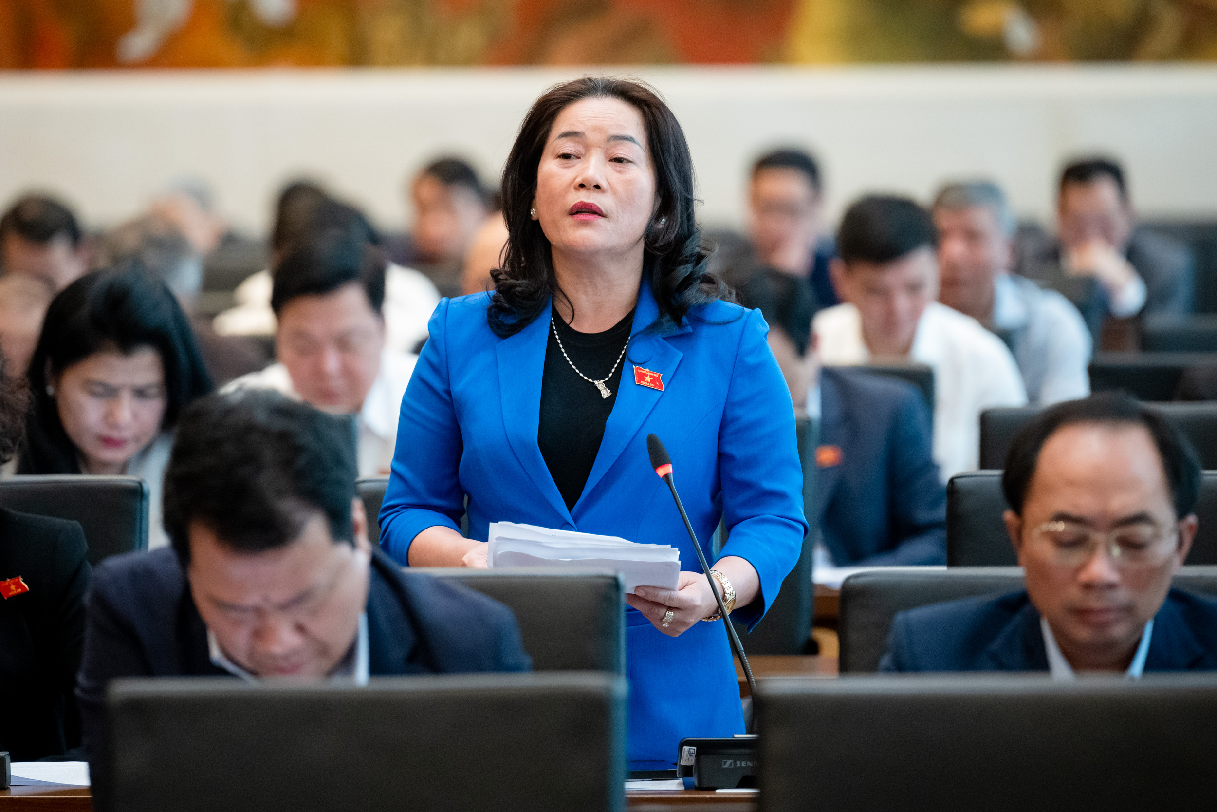 Đại biểu Lê Thị Thanh Lam, đoàn Hậu Giang: Cần nghiên cứu giảm thời hạn thẩm định, nhằm rút gọn trình tự, thủ tục và thời gian, tạo điều kiện thuận lợi cho doanh nghiệp sớm đưa hàng hóa ra thị trường.