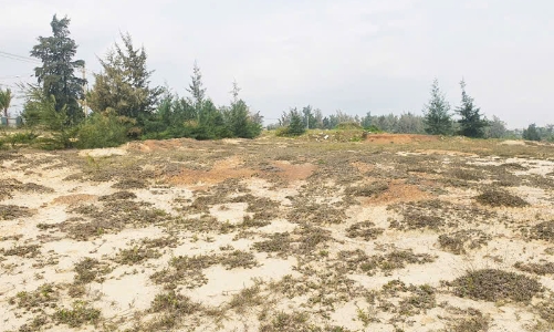 Nhiều dự án bị thu hồi đất do doanh nghiệp chây ỳ nợ thuế