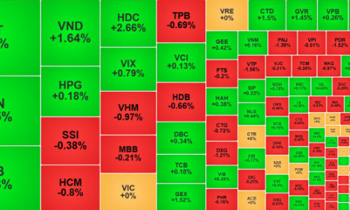 Đến lượt MSN, FPT “gánh” điểm, thanh khoản tiếp tục “dò đáy”