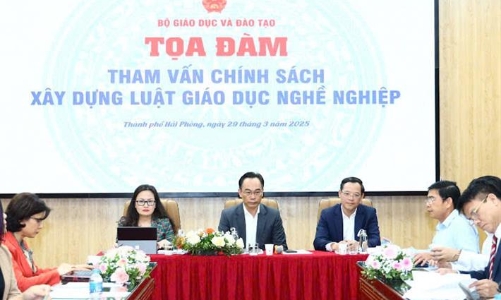 Xây dựng Luật Giáo dục đại học và Luật Giáo dục nghề nghiệp để tháo gỡ bất cập