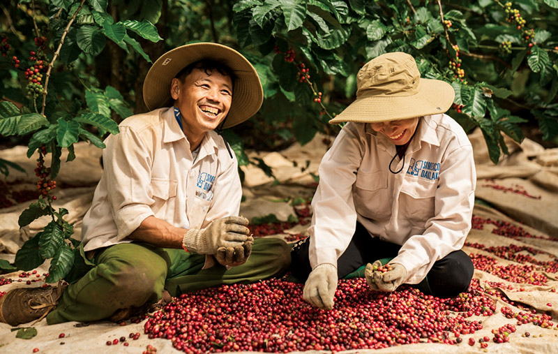 Nông dân trồng cà phê mừng vui phấn khởi vì giá cà phê tăng cao