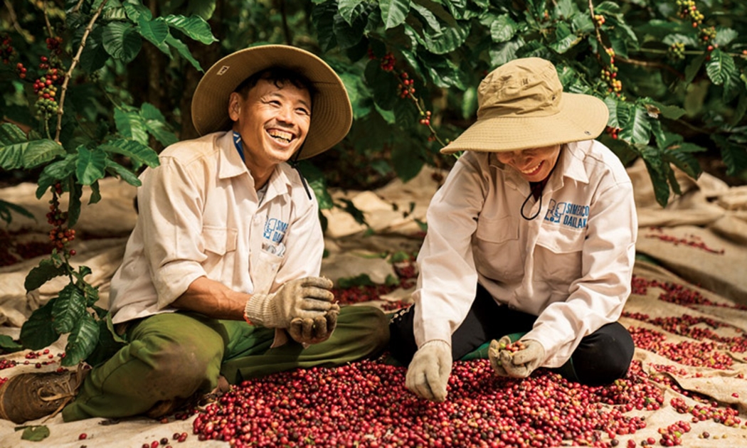 Nông dân trồng cà phê mừng vui phấn khởi vì giá cà phê tăng cao