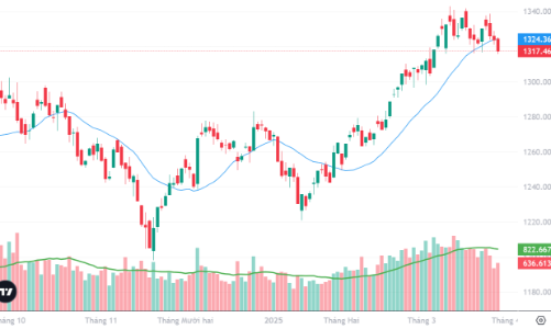 Xu thế dòng tiền: VN-Index lùi về vùng 1300 điểm?