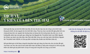 Trái phiếu xanh: Tiêu chuẩn hoá và đa dạng hoá sự tham gia của các tổ chức để phát triển bền vững